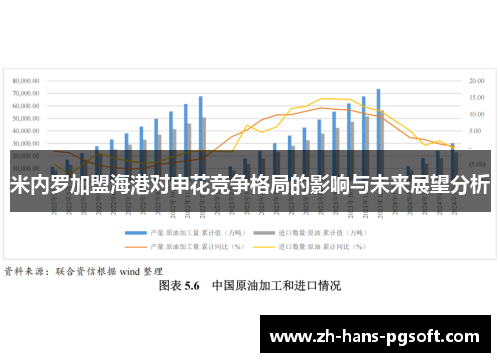 米内罗加盟海港对申花竞争格局的影响与未来展望分析